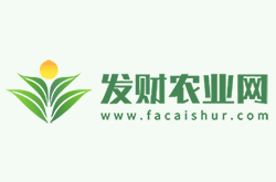 一帆风顺变土栽为水养